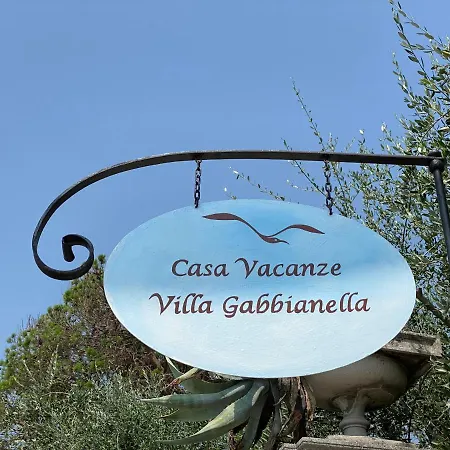 Gabbianella Con Giardino Lungolago Maderno *